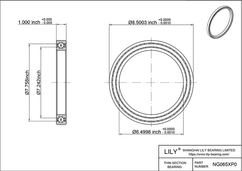 NG065XP0 Constant Section (CS) Bearings CAD图形